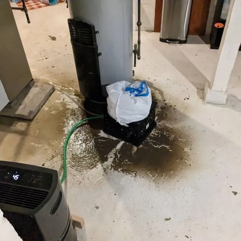 Sewage Backup Cleanup Service in Palmyra, PA